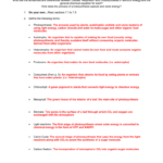 Answers With Photosynthesis Worksheet Answers