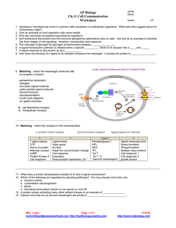 signal-transduction-pathways-worksheet-excelguider