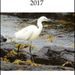 Argyll Throughout British Bird List Spreadsheet