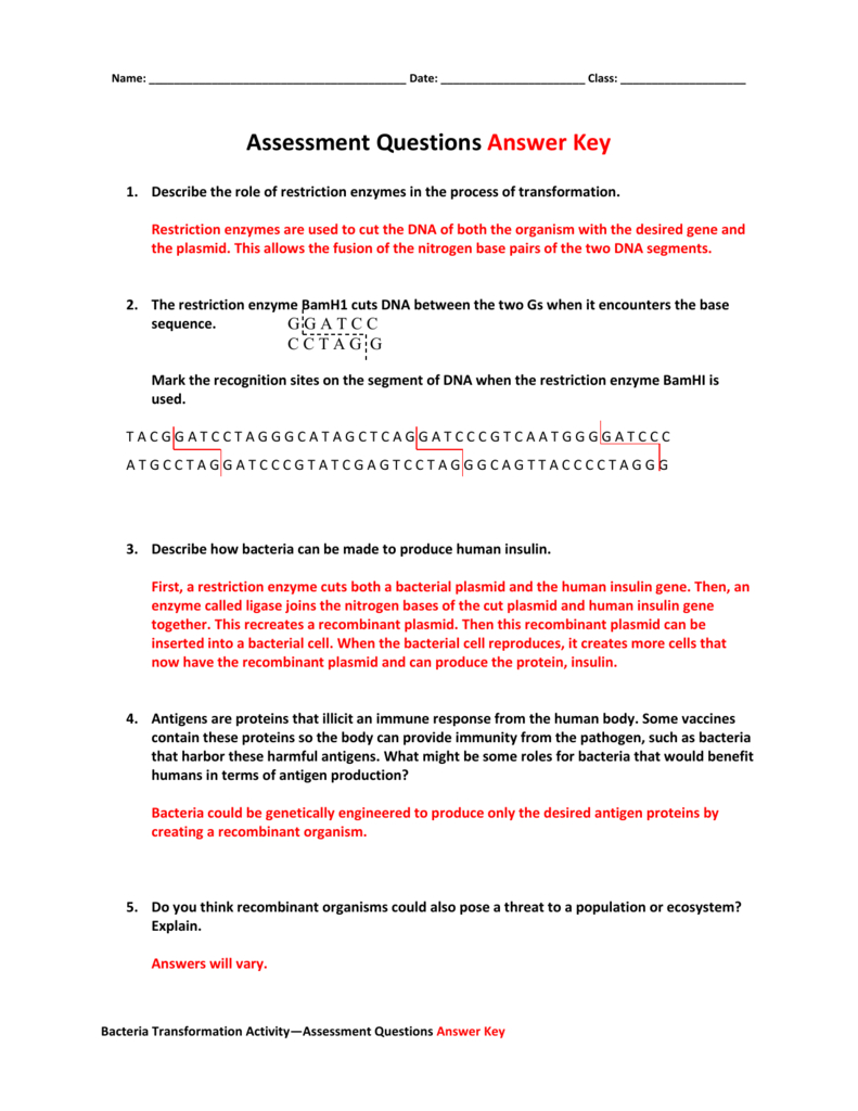 Assessment Questions Answer Key Regarding Restriction Enzyme Worksheet
