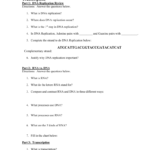 Assignment On Dna Rna Transcription And Translation Along With Rna Transcription Worksheet Answers