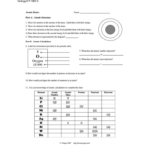 Atomic Basics Worksheet For Atomic Basics Worksheet Answers