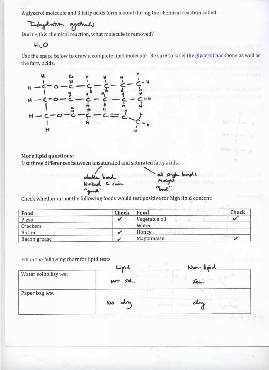Atoms Ions And Isotopes Worksheet Answers Domain And Range Worksheet Pertaining To Isotopes Worksheet High School Chemistry