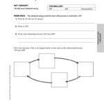 Atp Coloring Worksheet  Briefencounters Along With Atp Coloring Worksheet