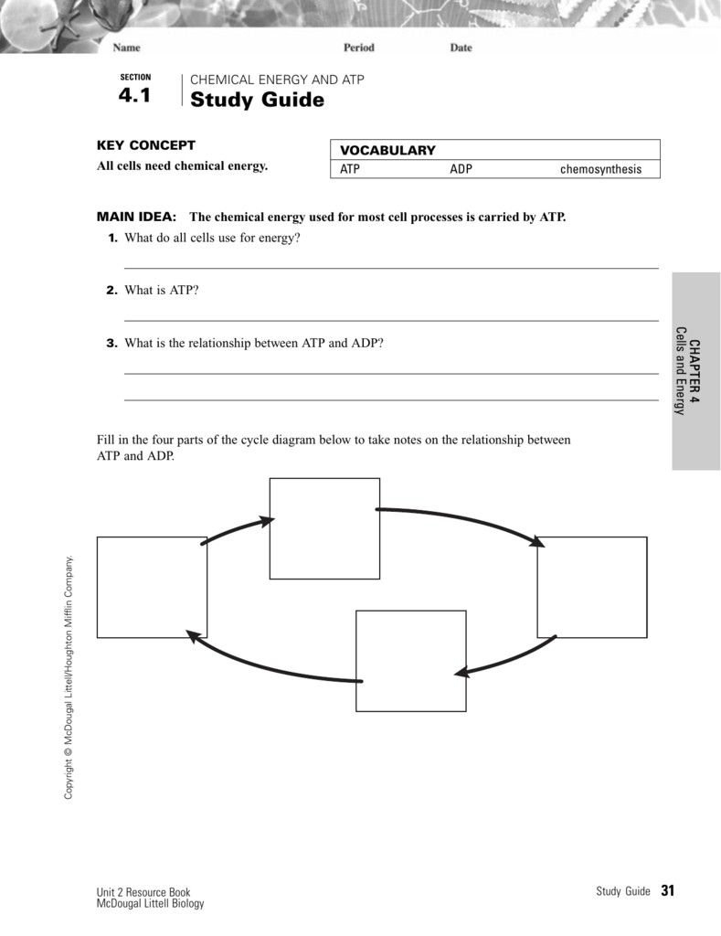 Atp Coloring Worksheet  Briefencounters Along With Atp Coloring Worksheet