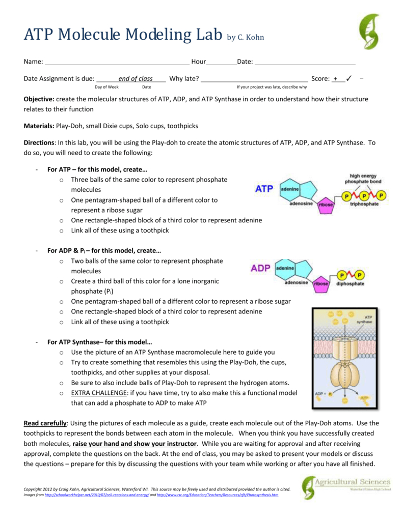 Atp Molecule Modeling Labc With Regard To Atp Worksheet Answers