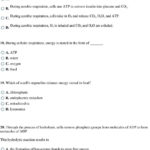 Atp Worksheet Answers  Briefencounters Intended For Atp Worksheet Answers