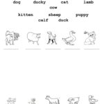 Baby Animals Worksheet  Free Esl Printable Worksheets Madeteachers As Well As Baby Animals Worksheet