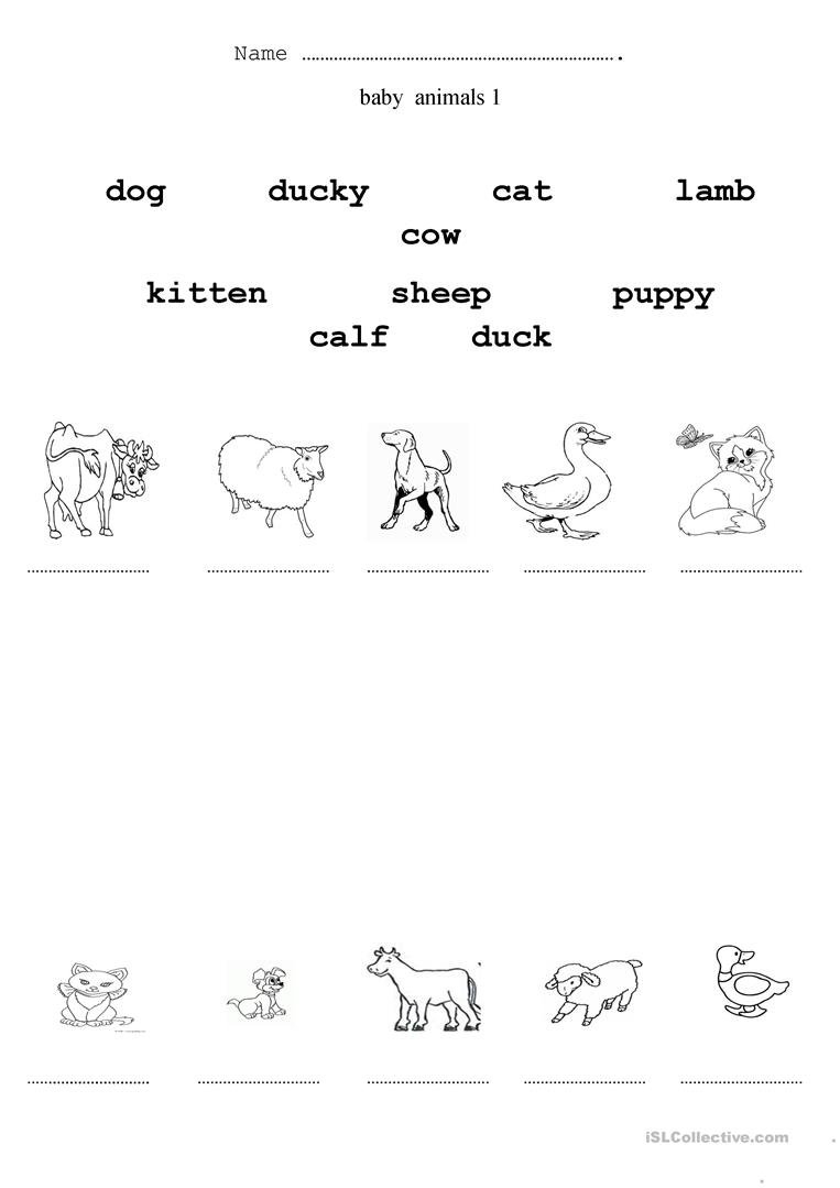 Baby Animals Worksheet  Free Esl Printable Worksheets Madeteachers As Well As Baby Animals Worksheet