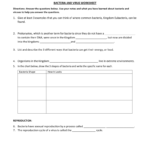 Bacteria And Virus Worksheet 1 Give At Least 3 Examples And Virus And Bacteria Worksheet Key