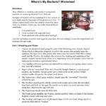 Bacteria Are Everywhere Activity – Where's My Bacteria  Pages 1 Regarding Tears Tears Everywhere Worksheet Answers