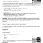 Bacterial Id Lab At Hhmi Key And Bacterial Identification Lab Worksheet