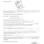 Best Ideas Of 7 Th Grade Science Worksheets Endowed Photo Morris Pertaining To Science Worksheets For Grade 7
