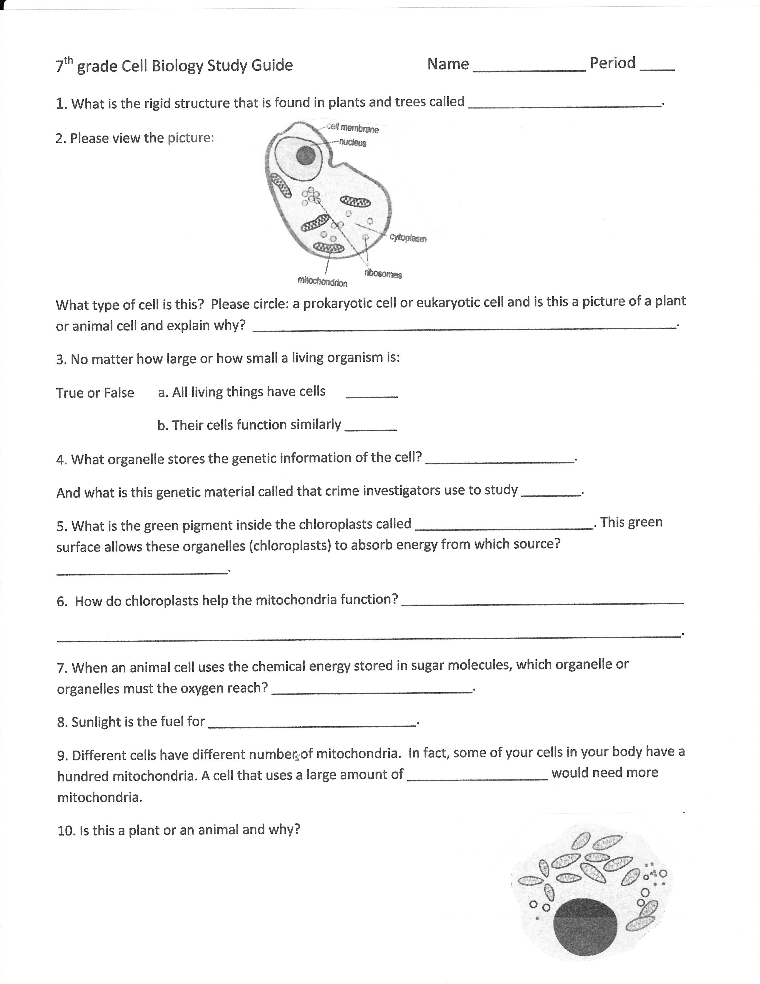 Best Ideas Of 7 Th Grade Science Worksheets Endowed Photo Morris Pertaining To Science Worksheets For Grade 7
