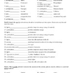 Best Solutions Of Enzymes Worksheet Answer Key New Works On Quiz Inside Enzymes Worksheet Answer Key