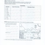 Best Solutions Of Food Chain Worksheets For 5Th Grade Choice Image With Food Chain Worksheet 5Th Grade