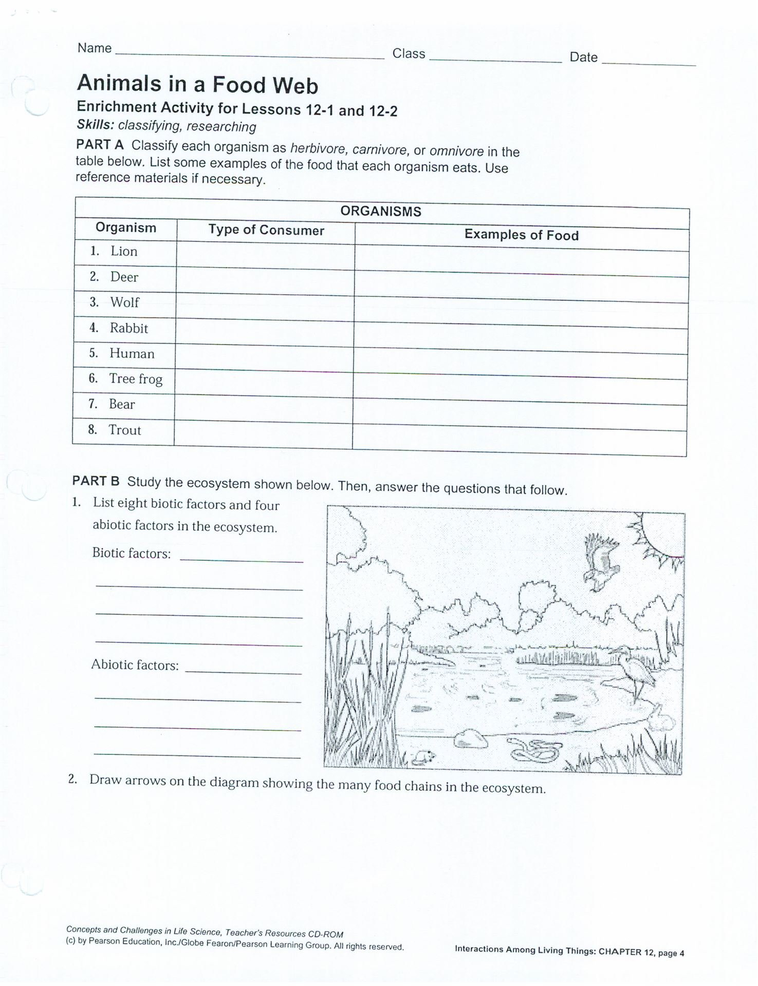 Best Solutions Of Food Chain Worksheets For 5Th Grade Choice Image With Food Chain Worksheet 5Th Grade
