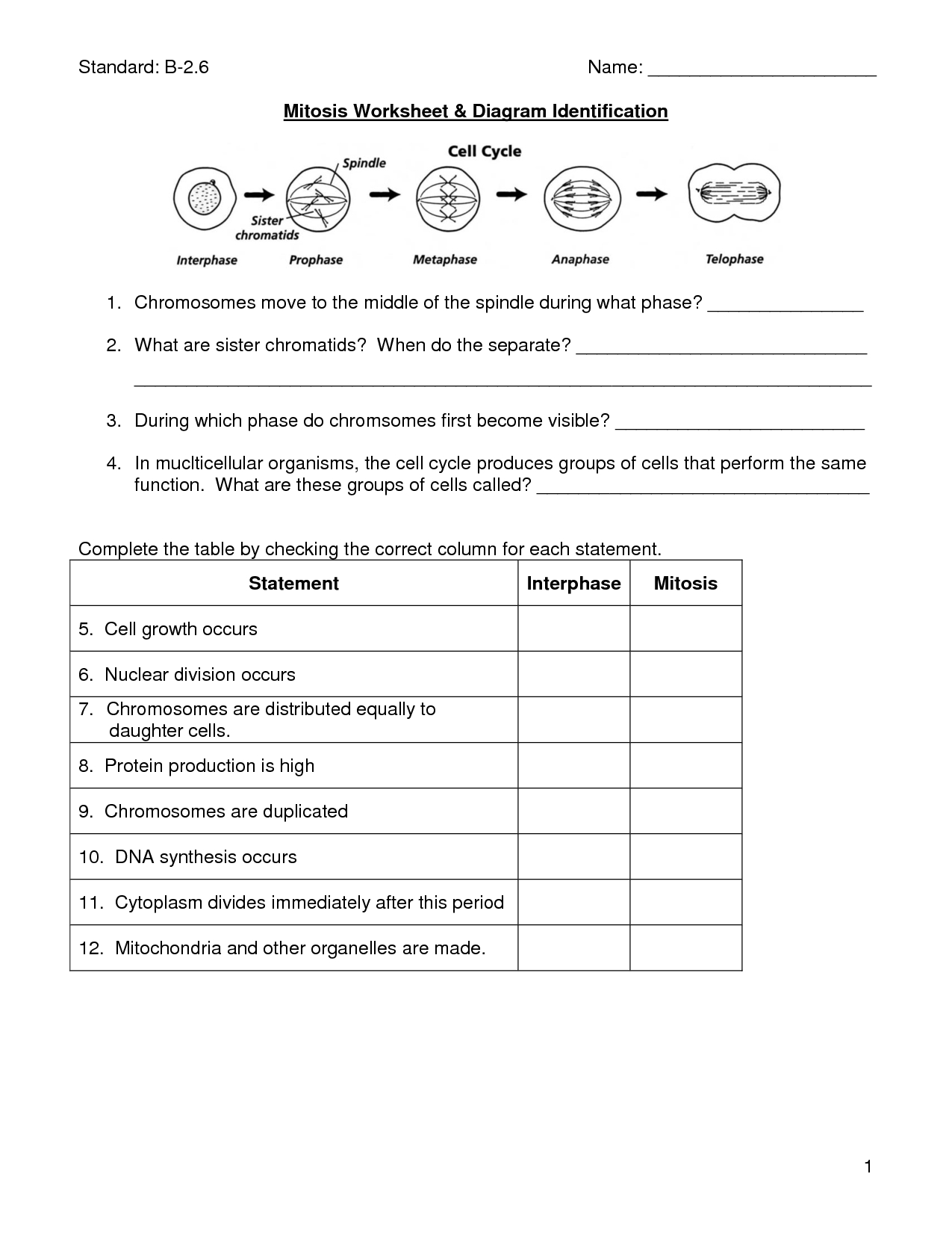 Best Solutions Of Mitosis Worksheet Cells Photosynthesis Mitosis For Photosynthesis Worksheet Middle School