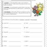 Best Teacher Png Download  17002200  Free Transparent Primary As Well As Producer Consumer Decomposer Worksheet