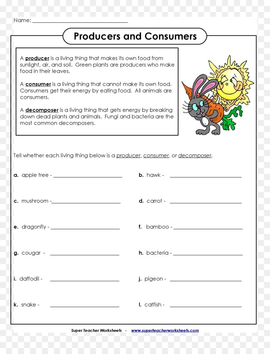 Best Teacher Png Download  17002200  Free Transparent Primary As Well As Producer Consumer Decomposer Worksheet