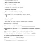 Bill Nye Genes Video Worksheet Answers Ratio Worksheets Simplifying Along With Bill Nye Energy Worksheet Answers