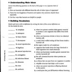 Bill Nye Scientific Method Worksheet  Briefencounters Or Science Worksheets For Grade 7