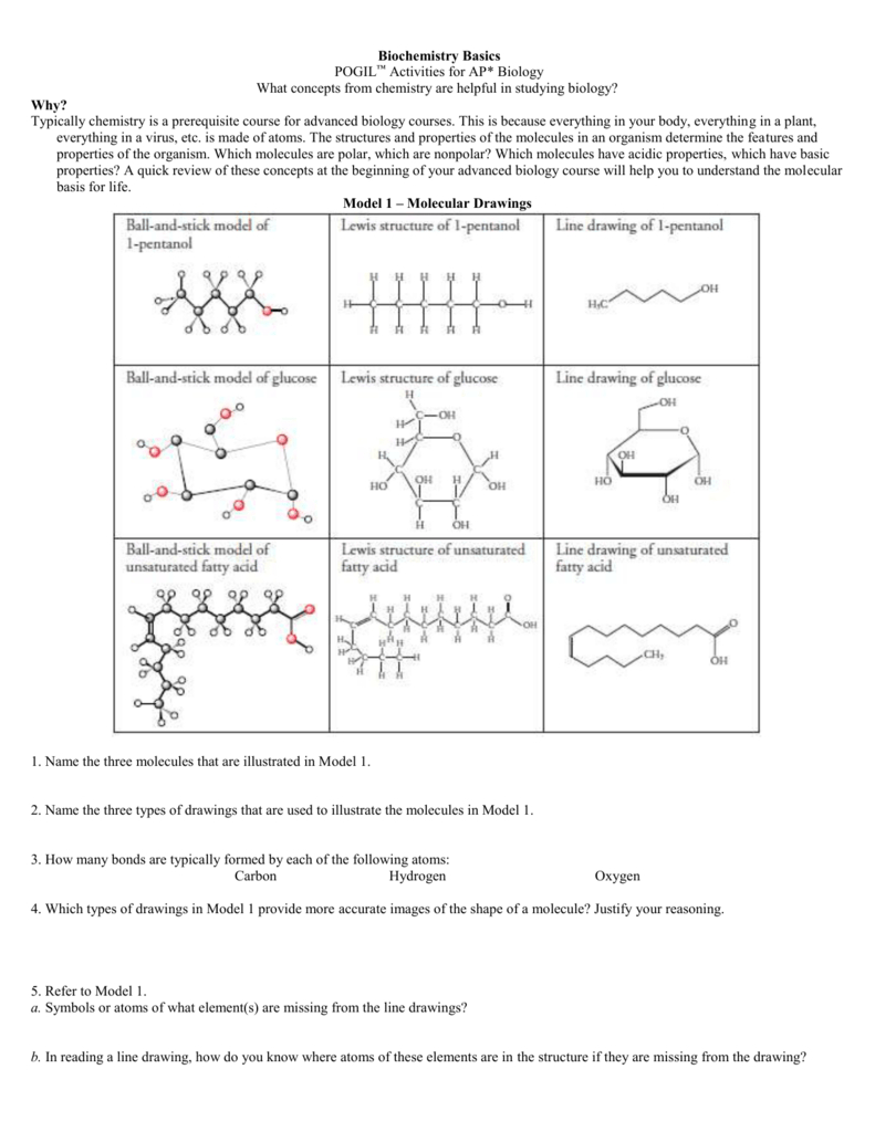 Biochemistry Basics Pogil™ Activities For Ap Biology What Also Biochemistry Basics Worksheet Answers