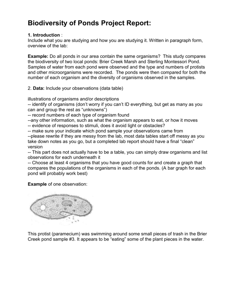 Biodiversity Of Ponds Project Report Together With Pond Water Microscope Lab Worksheet