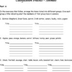 Biological Classification Worksheet  Pdf And A Tale Of Two Elephants Worksheet