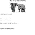 Biological Classification Worksheet  Pdf Together With A Tale Of Two Elephants Worksheet