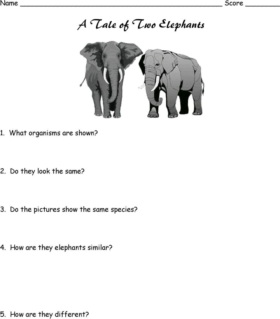 Biological Classification Worksheet  Pdf Together With A Tale Of Two Elephants Worksheet