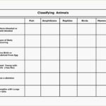 Biological Classification Worksheet  Worksheet Idea Template Along With Animal Classification Worksheet