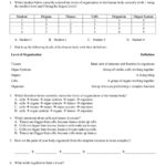 Biological Levels Of Organization  Interactive Worksheet And Levels Of Biological Organization Worksheet