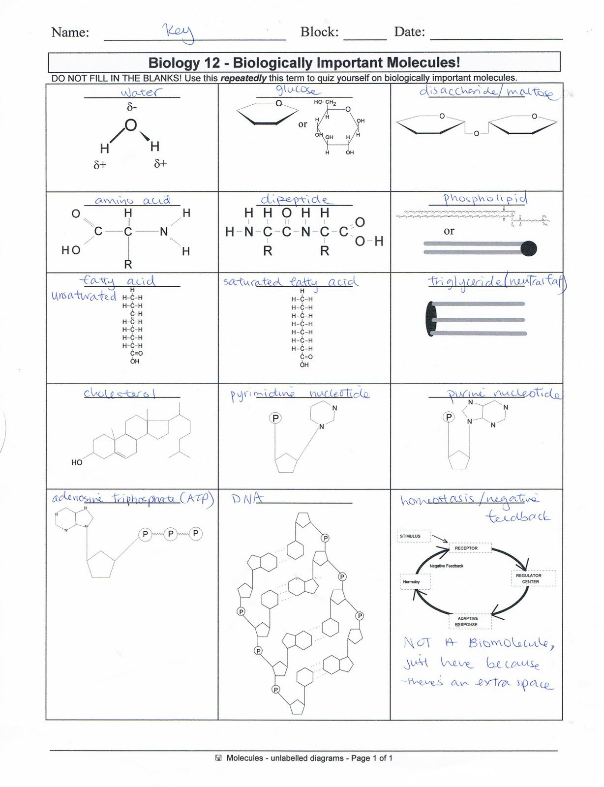 Biological Molecules Worksheet Answers Subtraction With Regrouping Along With Biological Molecules Worksheet