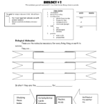Biological Molecules You Are What You Eat Intended For Biological Molecules Worksheet
