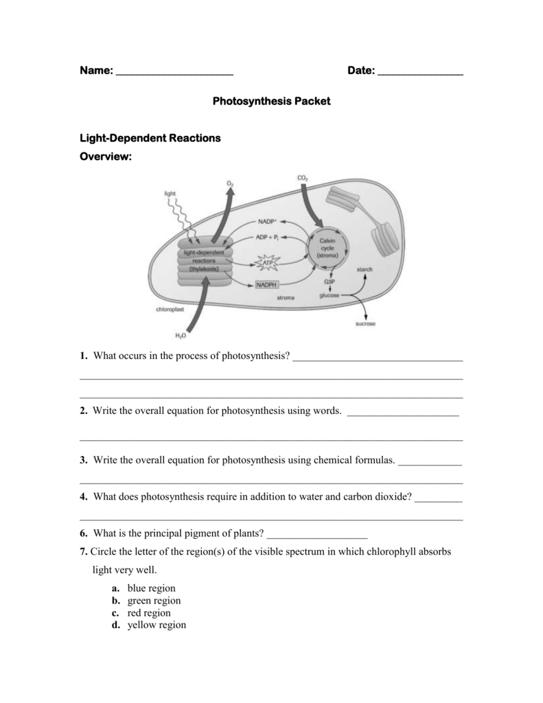 Biology 20  Photosynthesis Worksheet For Photosynthesis Diagrams Worksheet Answers