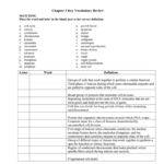 Biology Chapter 5 Key Vocabulary Worksheet Inside Cell Cycle Vocabulary Worksheet Answer Key