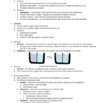 Biology Chapter 7 – Cell Structure And Function Section 3 – Cell Or Cell Structure And Function Worksheet Answers Chapter 3