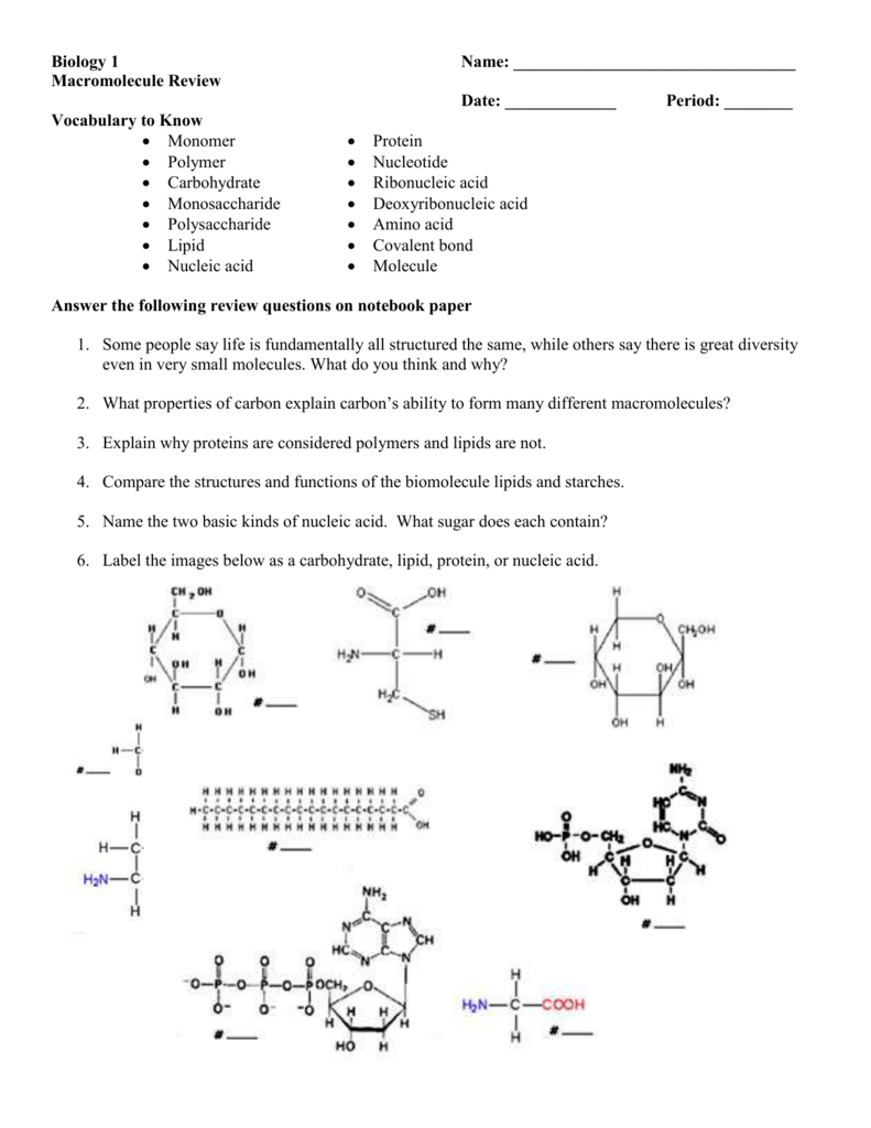 Biology Macromolecule Review Worksheet With Regard To Biological Macromolecules Worksheet