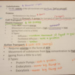 Biology  Notes  Helpful Documents For Cells Alive Animal Cell Worksheet Answer Key