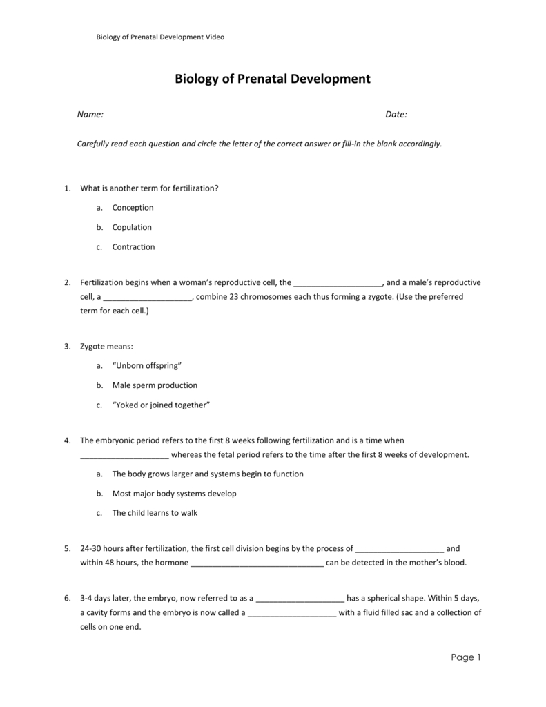 Biology Of Prenatal Development Worksheet Or In The Womb National Geographic Worksheet Answer Key