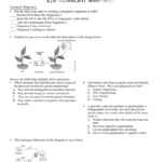 Biotechnology Worksheet With Introduction To Biotechnology Worksheet Answers