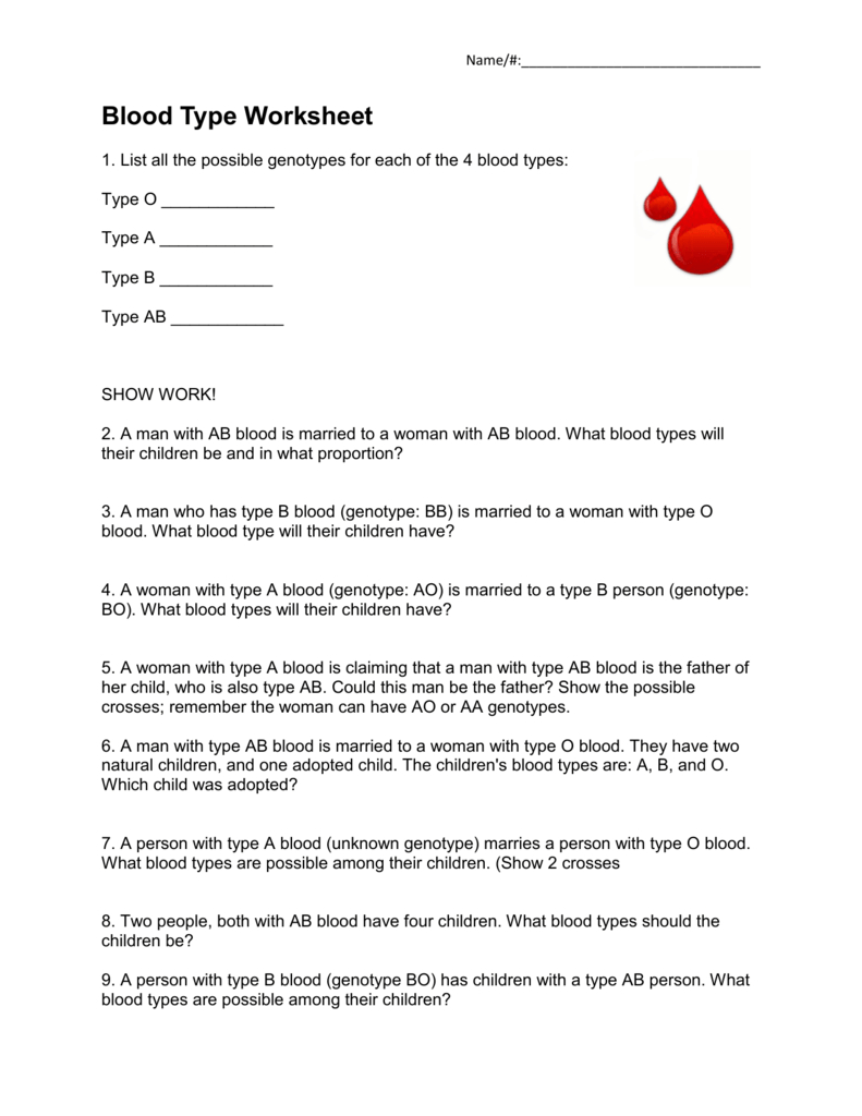 Blood Type Worksheet Along With Blood Types Worksheet Answers