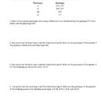 Blood Typing Genetics Problem Set 5 With Regard To Genetics Problems Worksheet 1 Answers