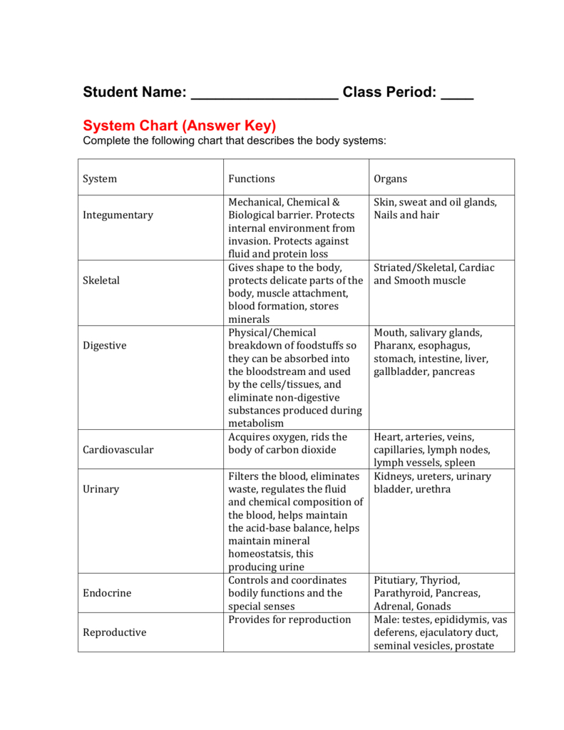 Body Sytem Chart Answer Key And Human Body Systems Worksheet Answer Key
