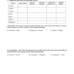 Bonding Basics Review Or Bonding Basics Worksheet