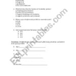 Bones And Joints Quiz 7Th Grade  Esl Worksheetmejia019 With Regard To Joints And Movement Worksheet