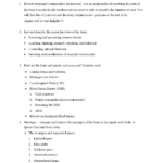 Brain Protection  Human Anatomy And Physiology  Quiz  Docsity Inside Brain Lab Worksheet