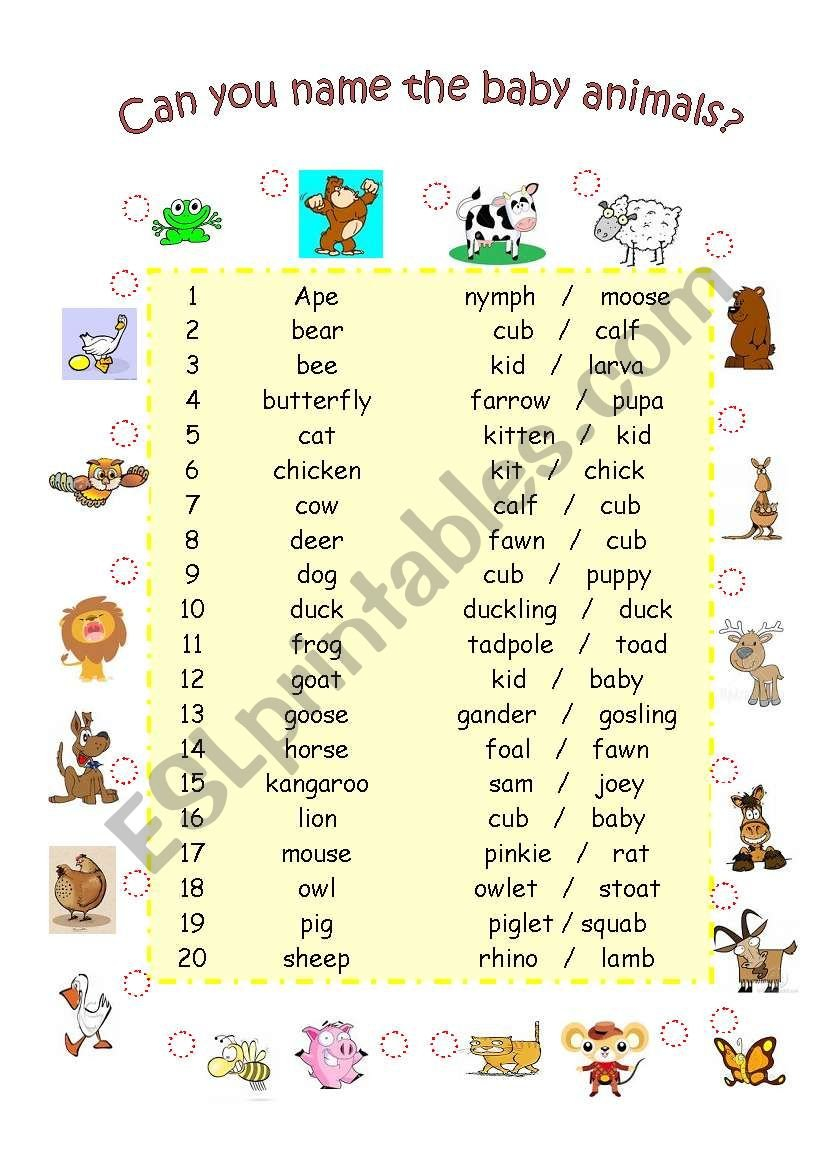 Can You Name The Baby Animals  Esl Worksheetrenei Inside Baby Animals Worksheet