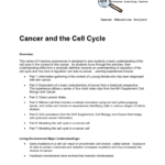 Cancer And The Cell Cycle Handout Throughout The Cell Cycle And Cancer Worksheet